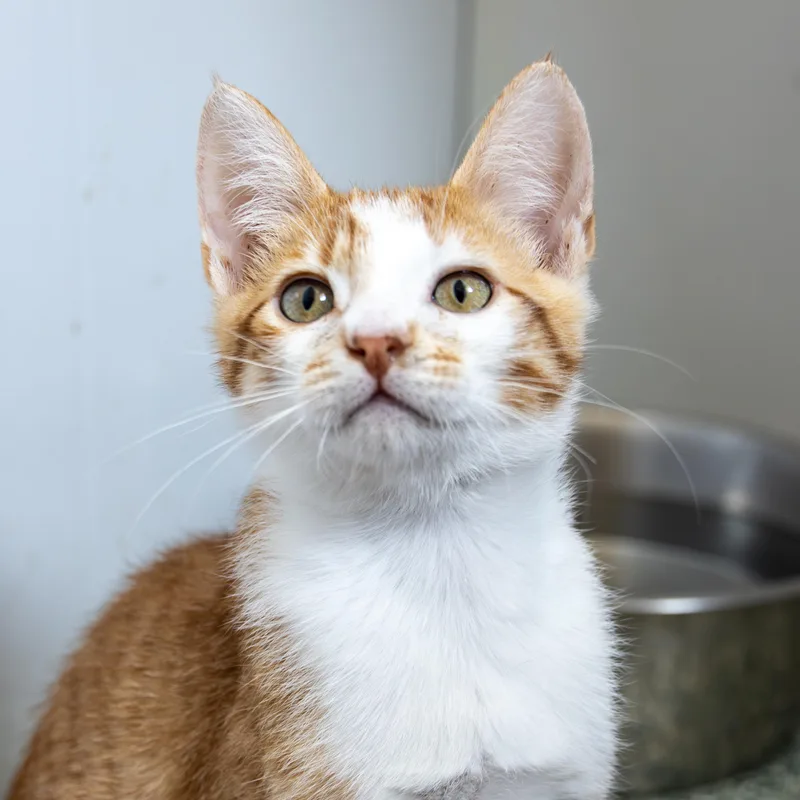 Jace And Jamal thumbnail 3