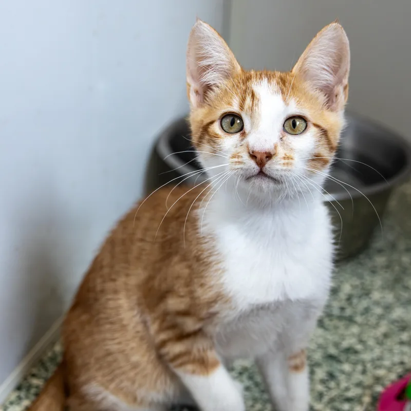 Jace And Jamal thumbnail 4