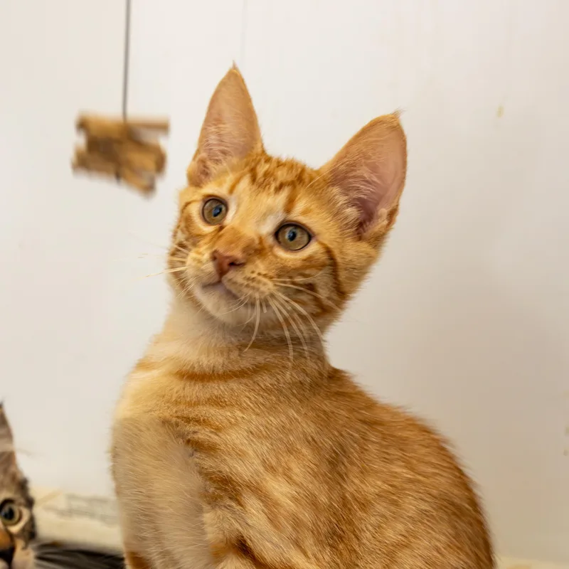 Jace And Jamal thumbnail 6