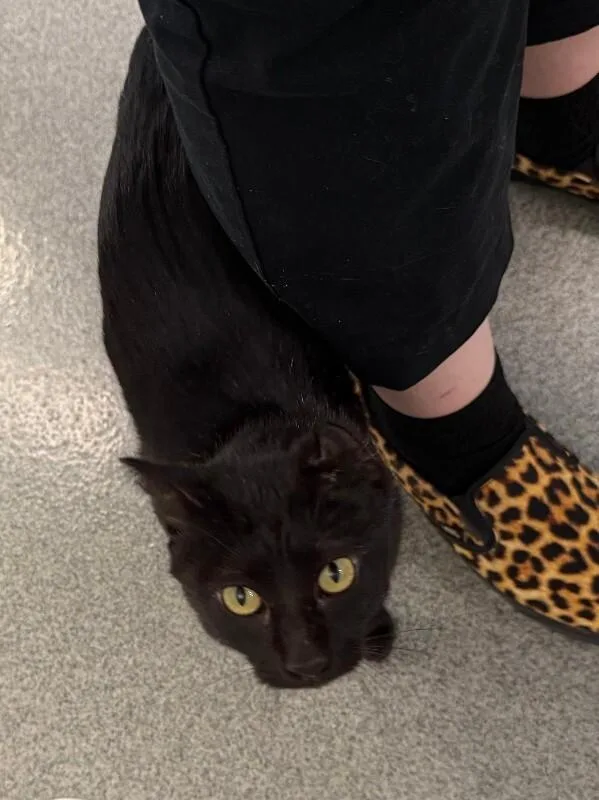 Soot Sprite thumbnail 3