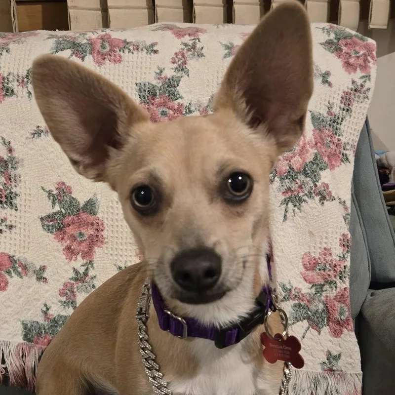 Ava Sadie thumbnail 6