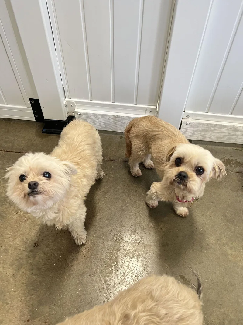 Sophie & Ashlynn thumbnail 2