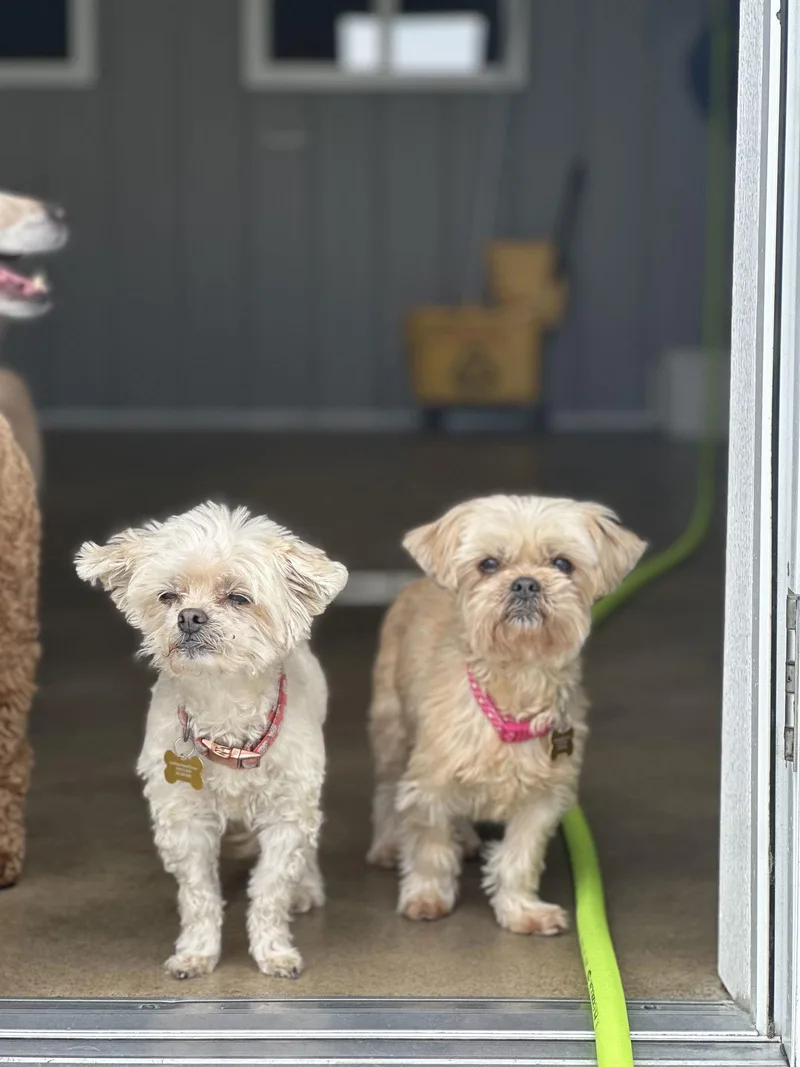 Sophie & Ashlynn thumbnail 3