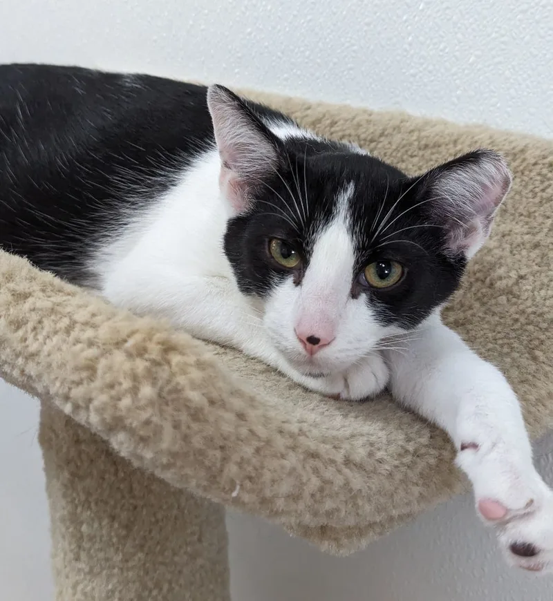 Jim Beam thumbnail 2