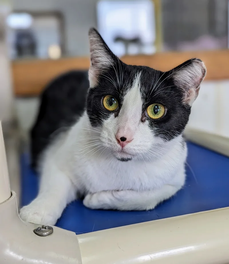 Jim Beam thumbnail 3