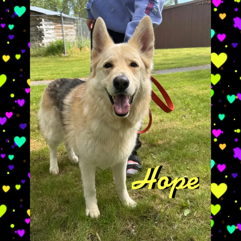 Hope