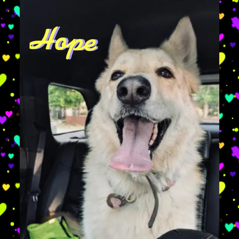 Hope thumbnail 4