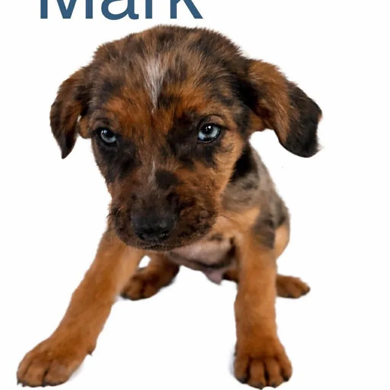 Mark Sloan thumbnail 2