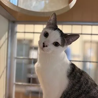 Sweet Tart thumbnail 5