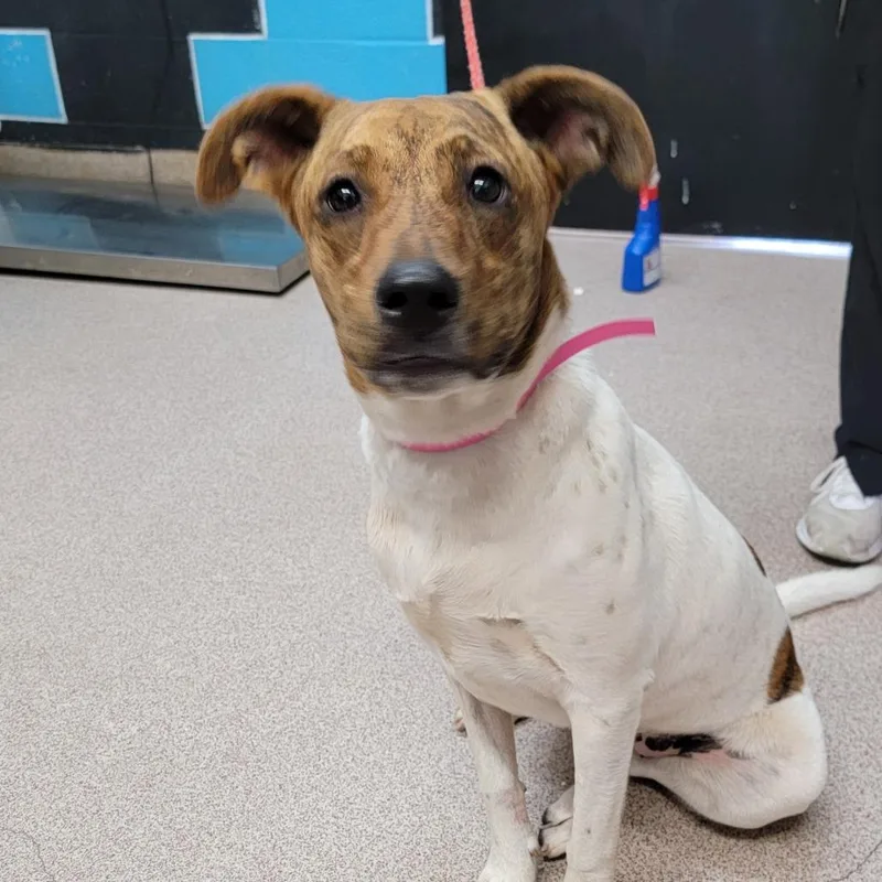 Lucy Lu Lu thumbnail 2