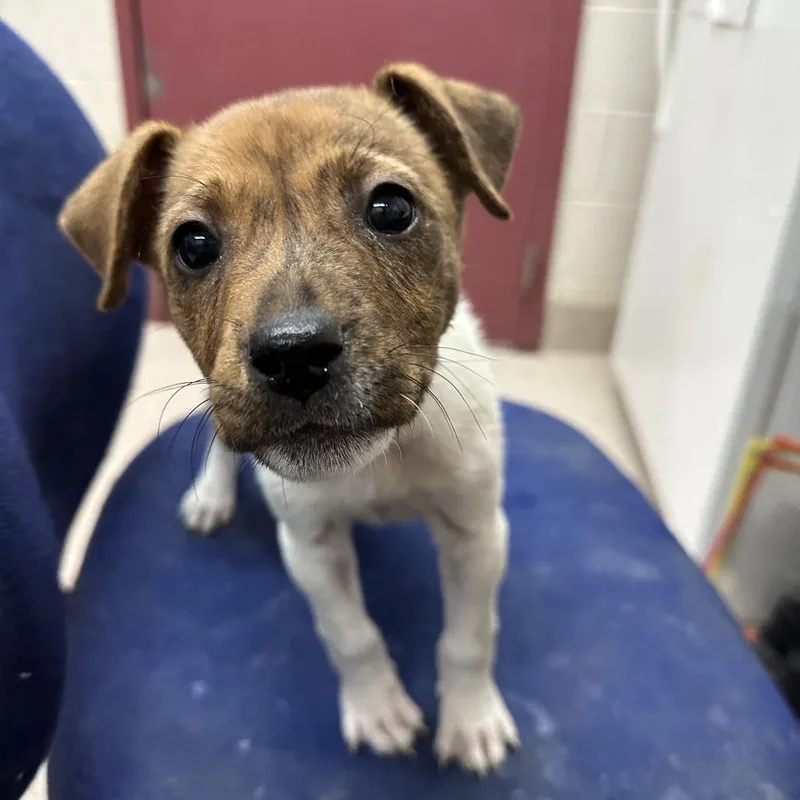 Lucy Lu Lu thumbnail 3