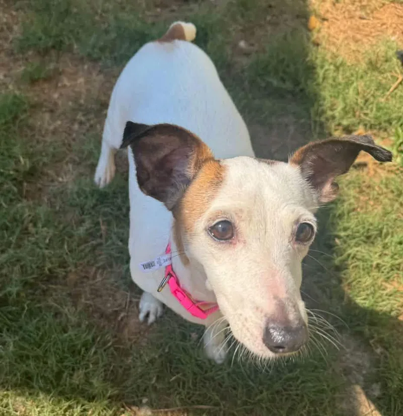 Ellie Mae thumbnail 2