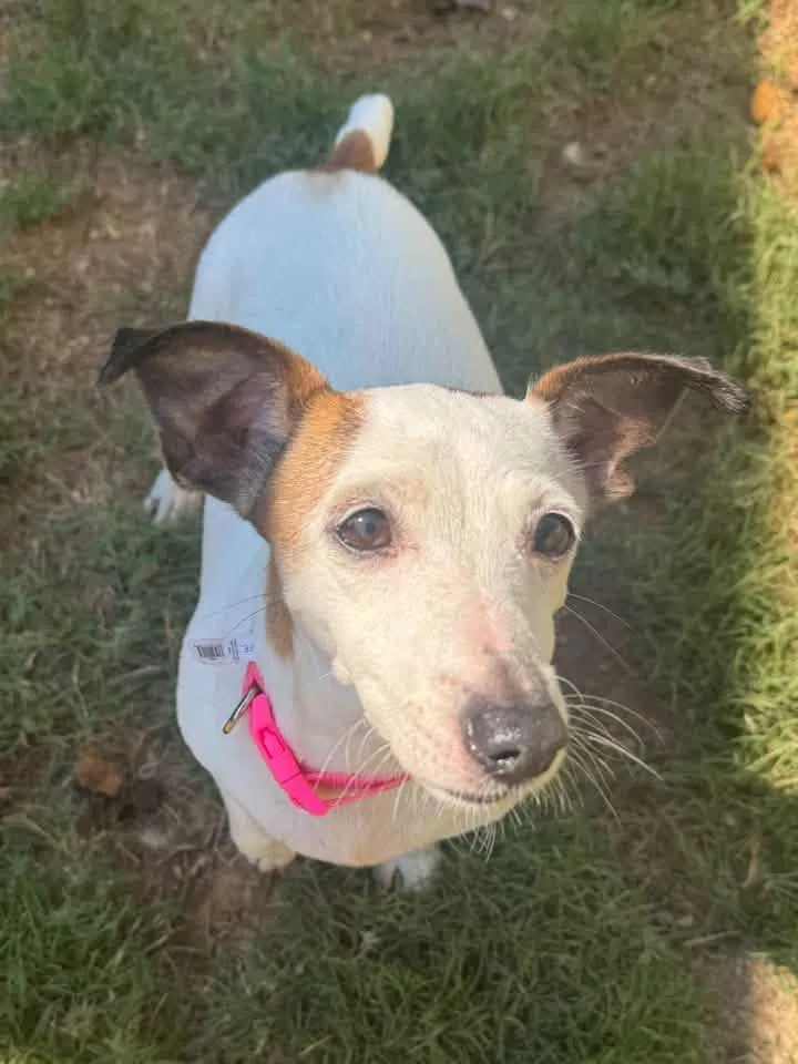 Ellie Mae thumbnail 4