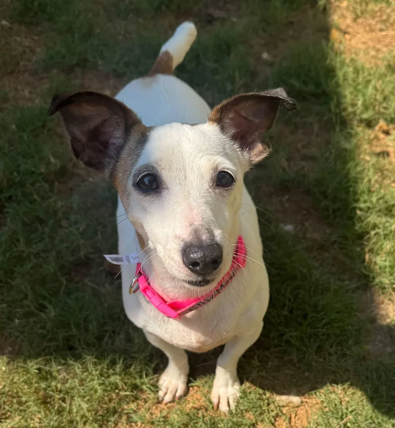 Ellie Mae thumbnail 5