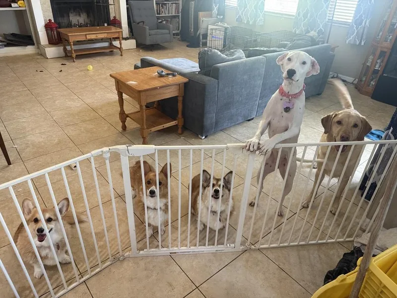 Victoria thumbnail 6