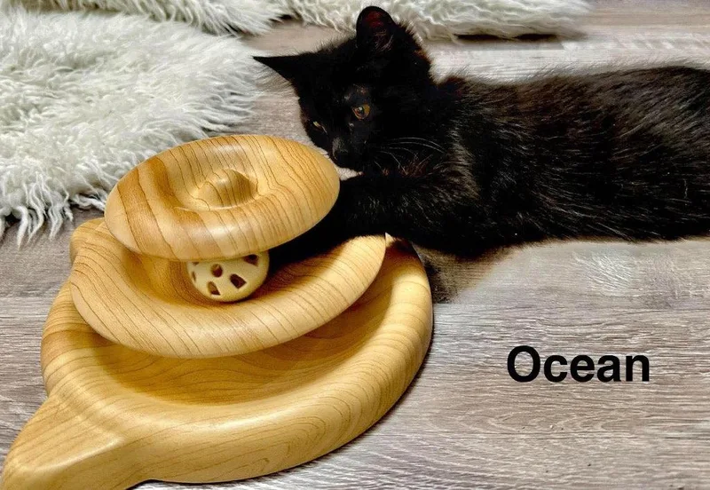 Ocean thumbnail 3