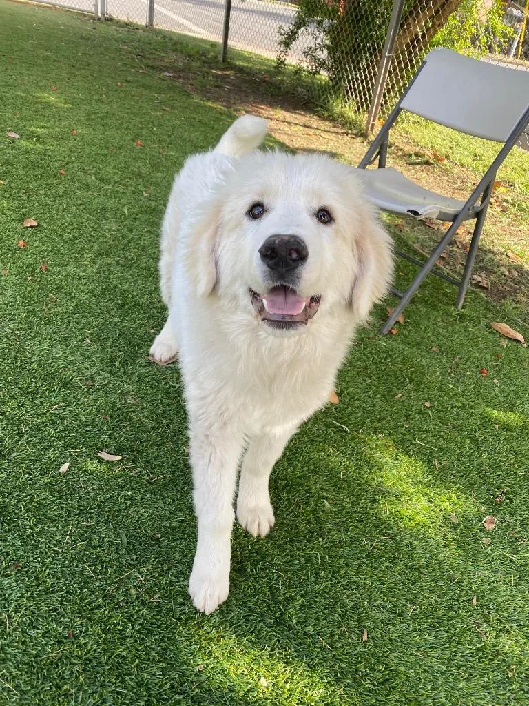 Crackers thumbnail 2