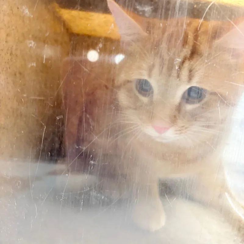 Max Millie thumbnail 2
