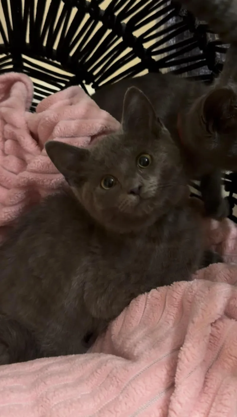 Monica & Phoebe thumbnail 2
