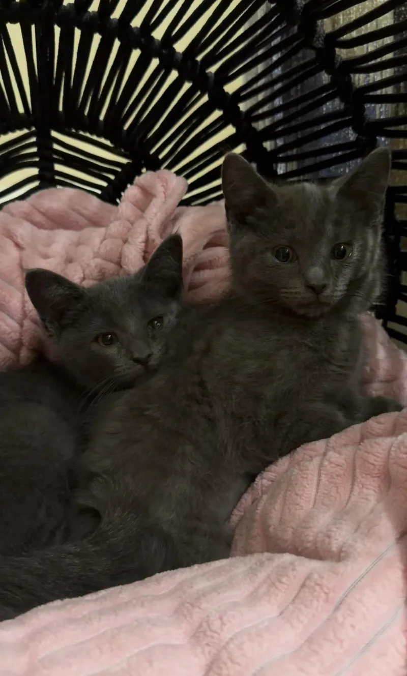 Monica & Phoebe thumbnail 3