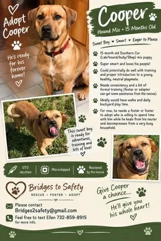 Cooper