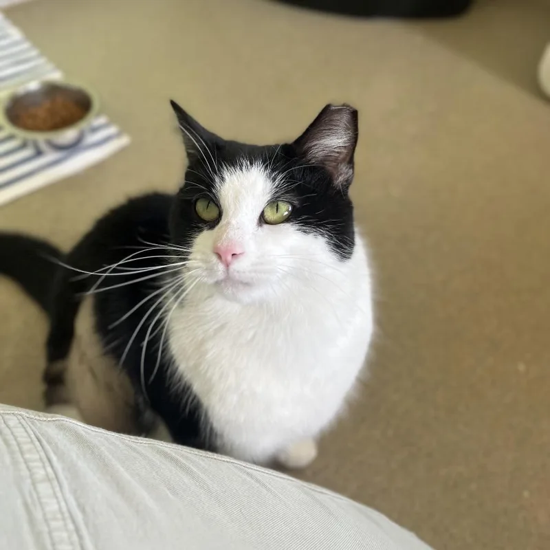 Rhonda thumbnail 6