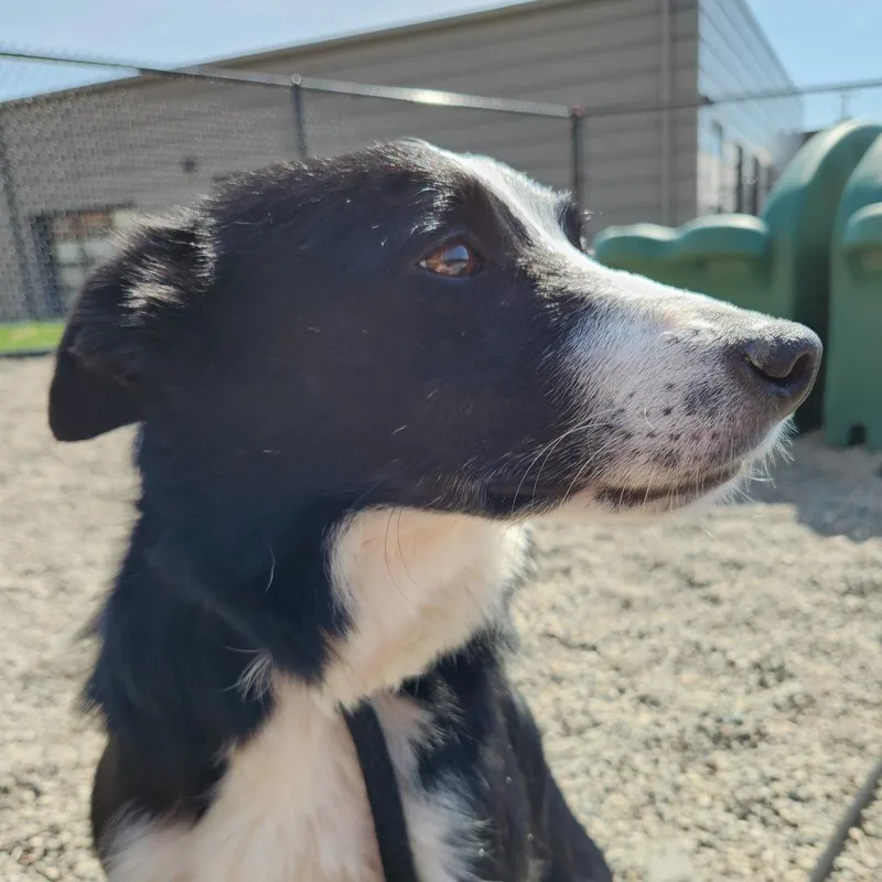 Milly May thumbnail 2