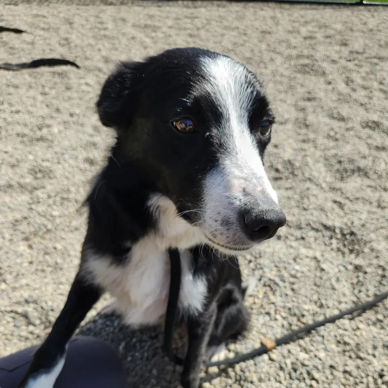 Milly May thumbnail 4