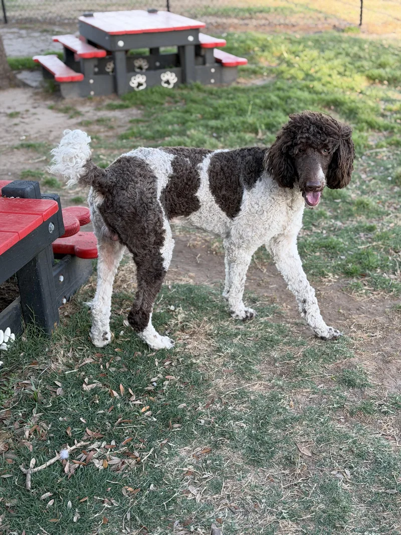 Prescott thumbnail 3