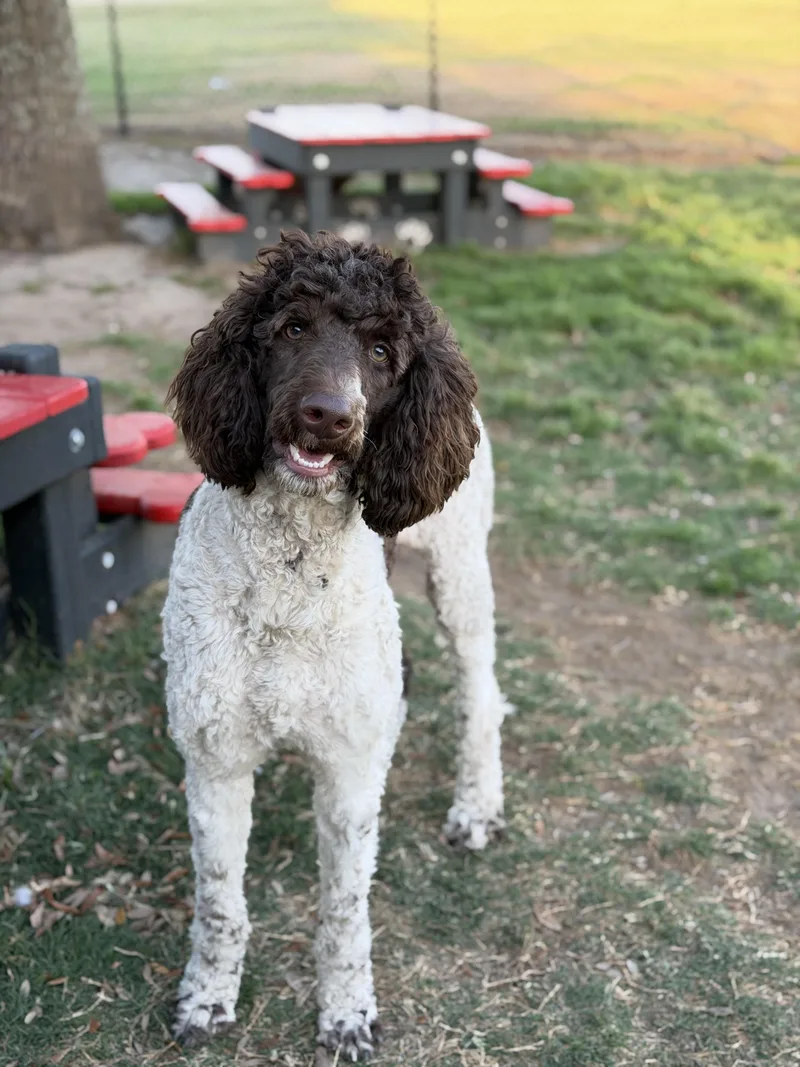 Prescott thumbnail 4