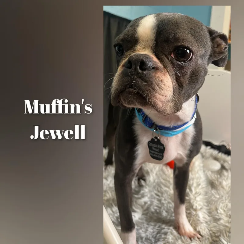 Muffin's Jewell thumbnail 3