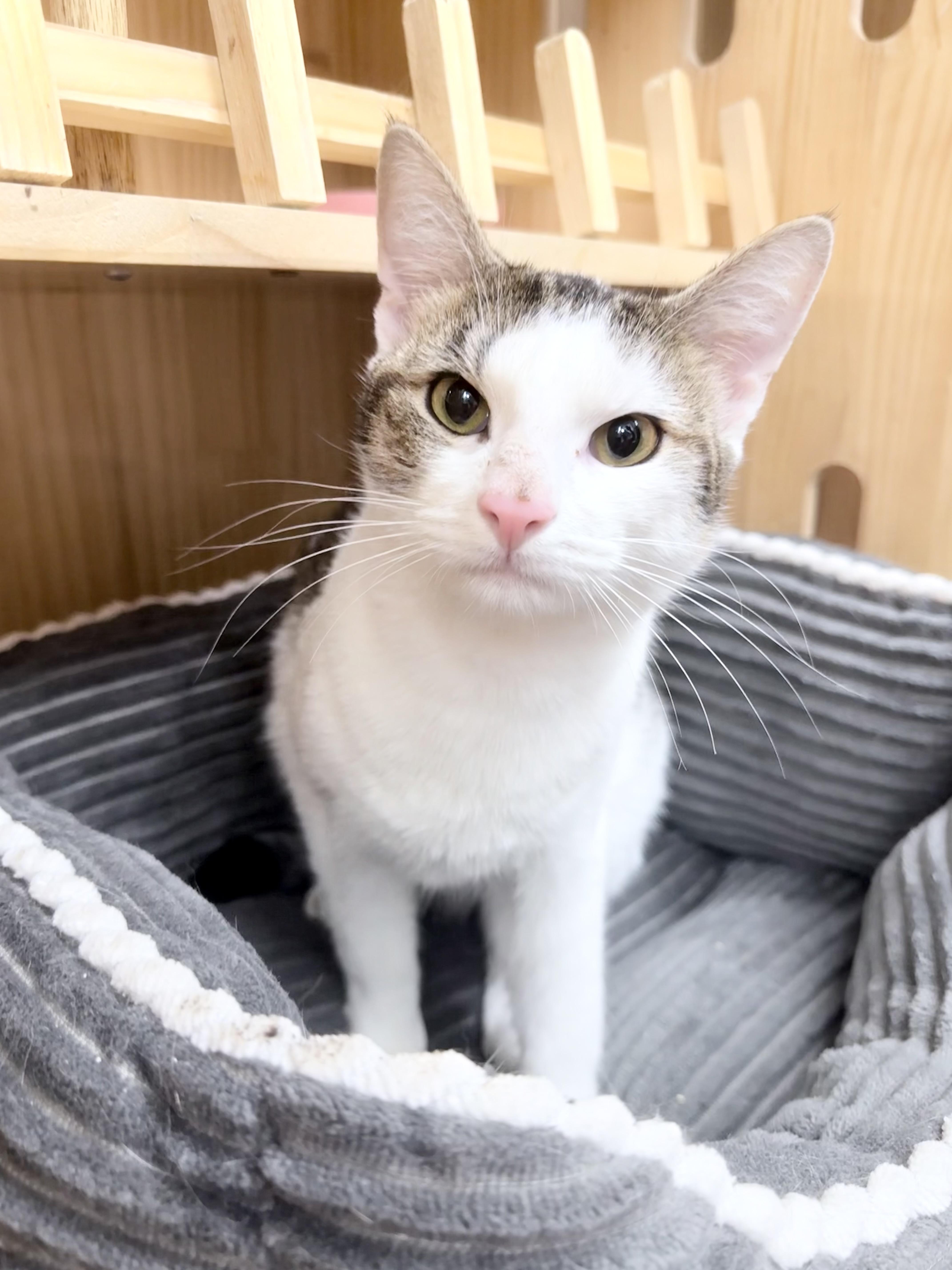 Elo And Ever thumbnail 6