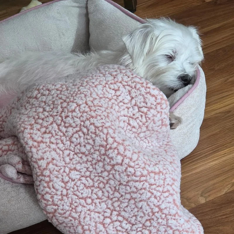 Chloe thumbnail 2