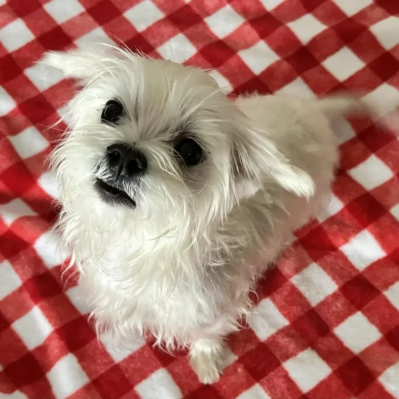 Chloe thumbnail 3