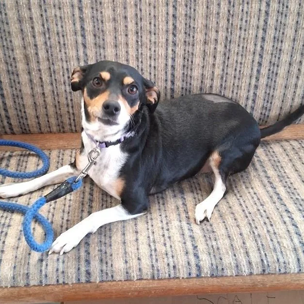 Lil' Bit thumbnail 2