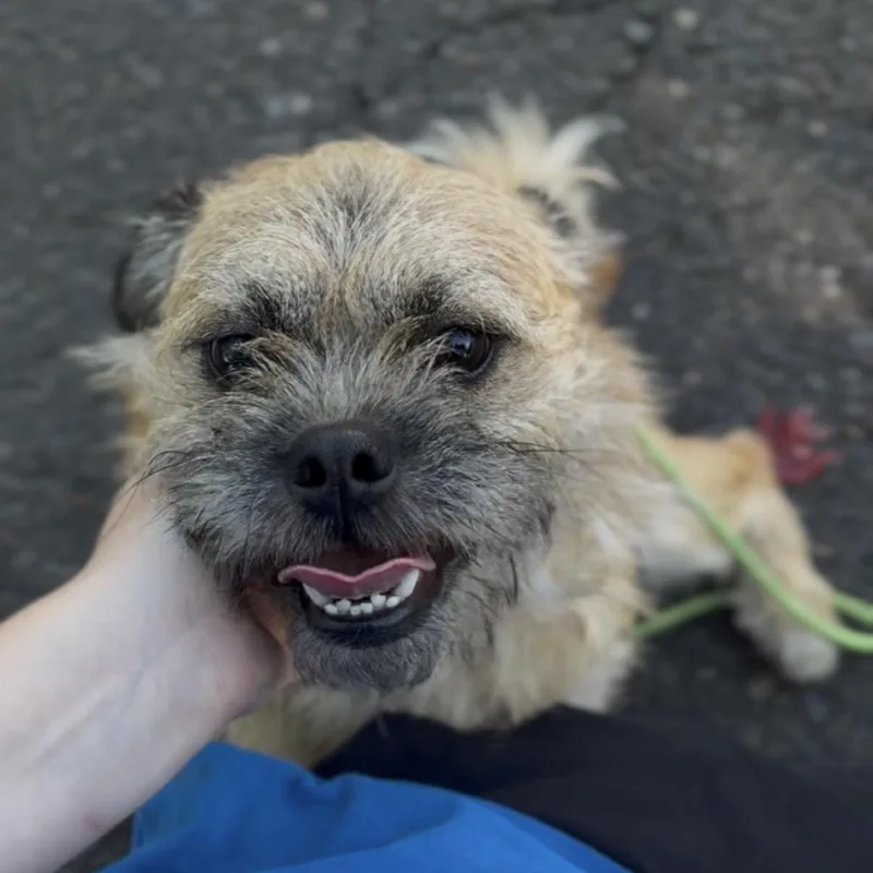 Jerry thumbnail 4