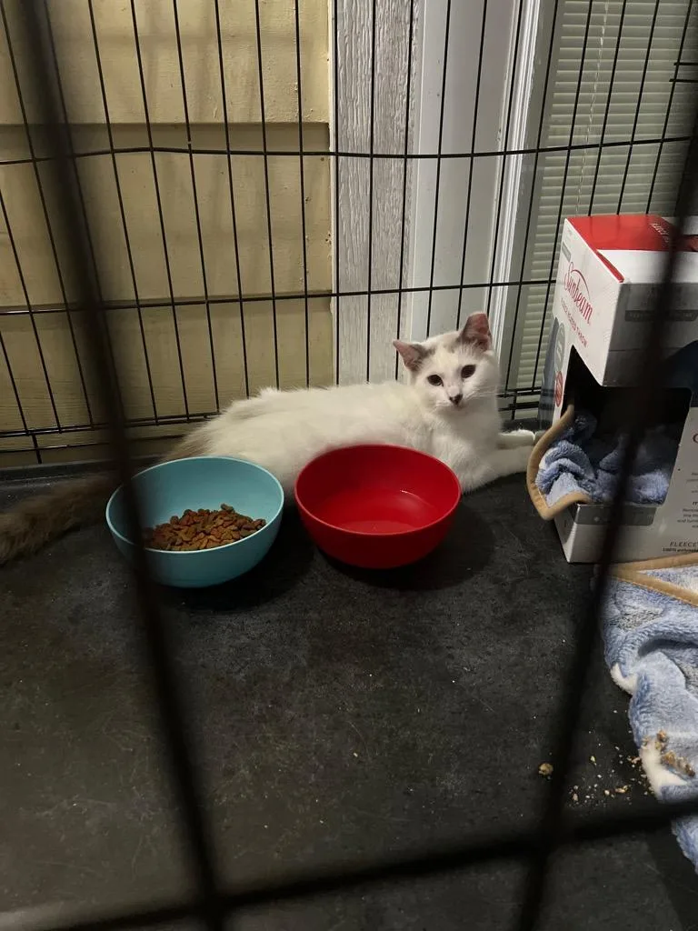 Speckles thumbnail 2