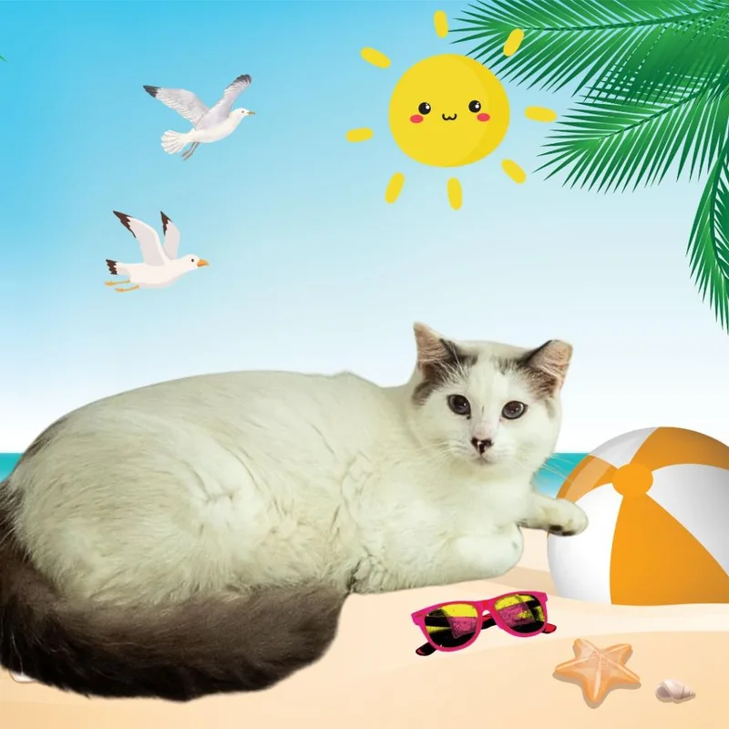 Speckles thumbnail 5