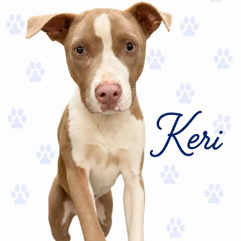 Keri thumbnail 2