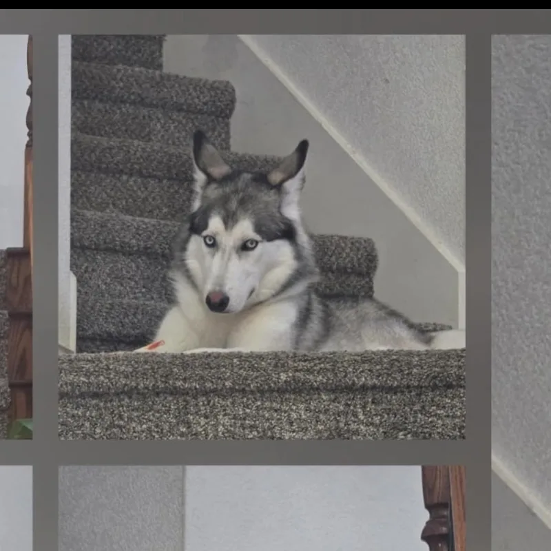 Marley Girl thumbnail 2