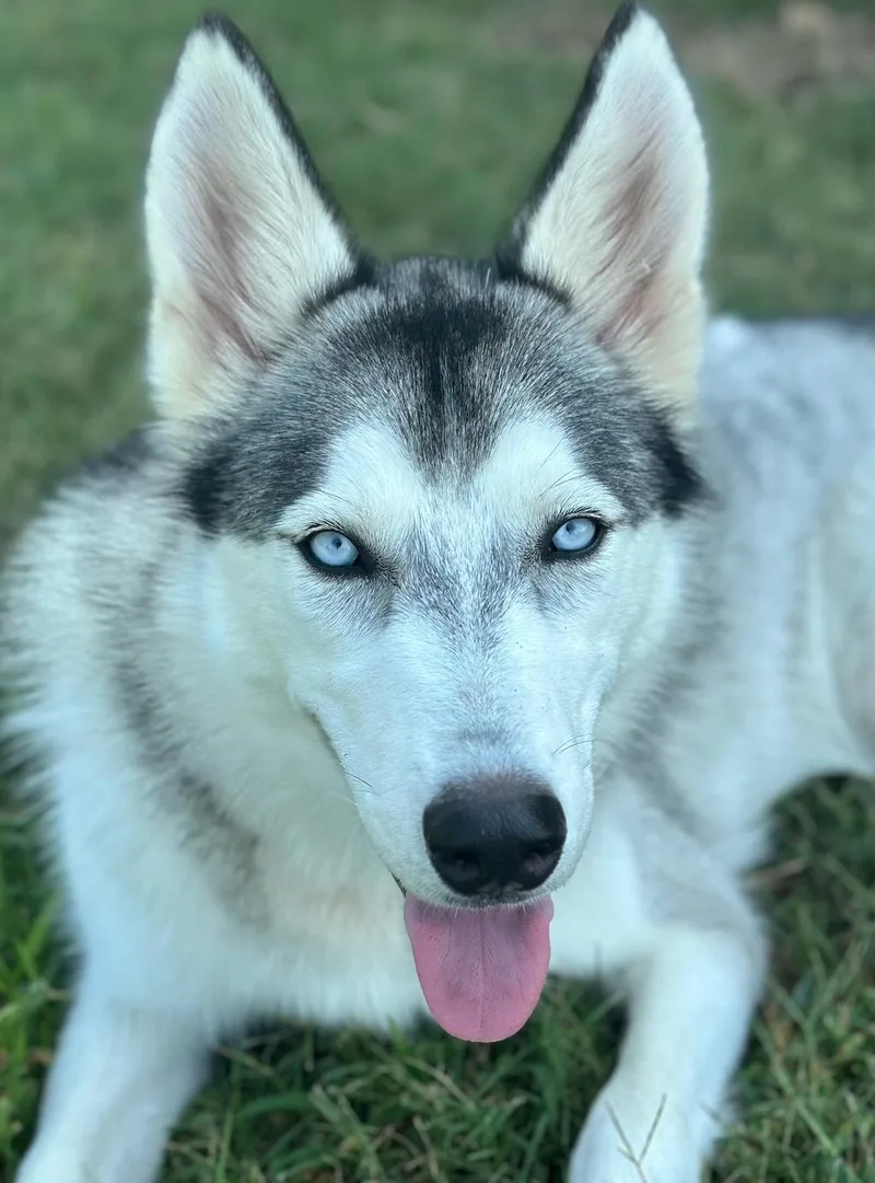 Marley Girl thumbnail 4