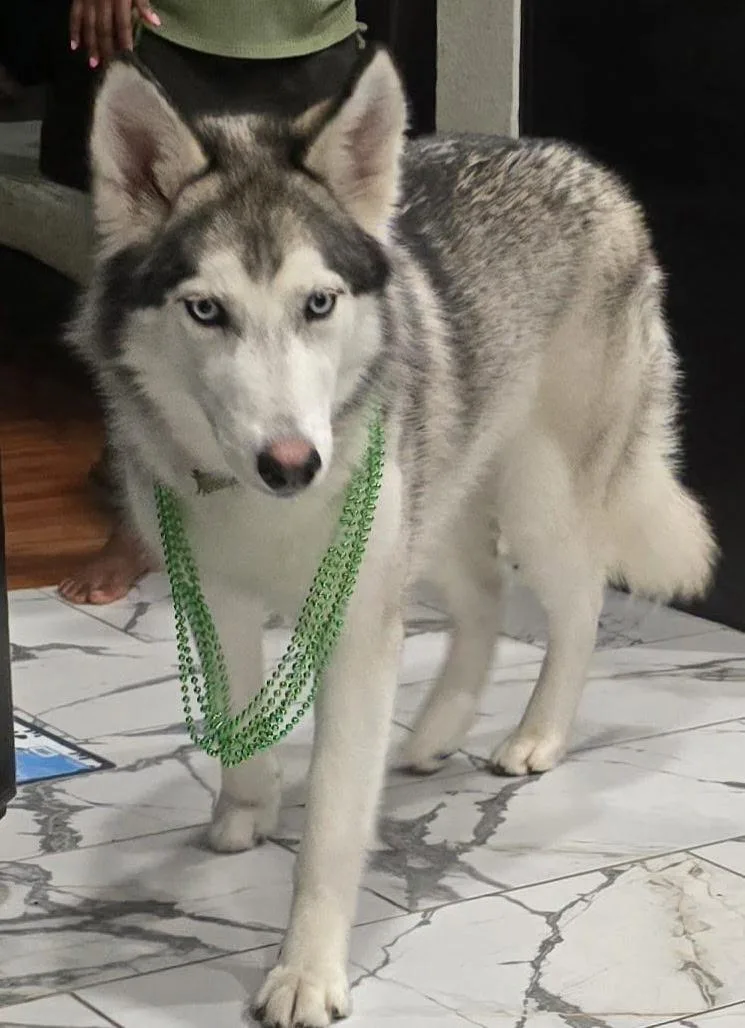 Marley Girl thumbnail 5