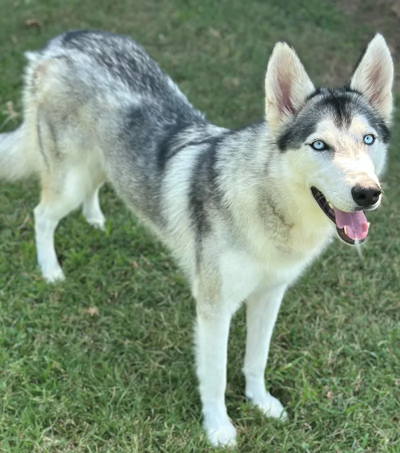 Marley Girl thumbnail 6