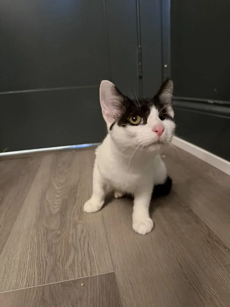 Nick Purry thumbnail 2