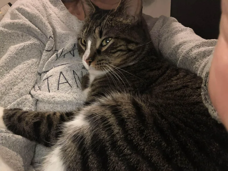 Georgie Porgie thumbnail 5