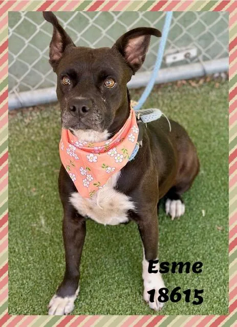 Esme