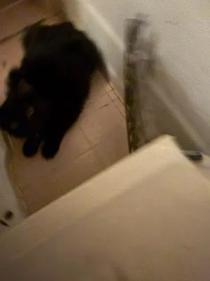 Sophia thumbnail 4