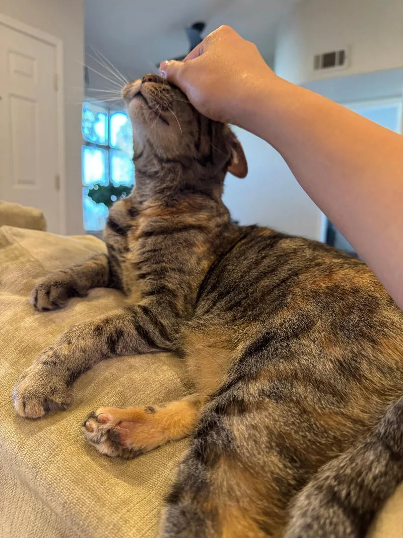 Illenium thumbnail 4