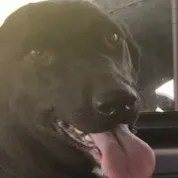 Juliette thumbnail 2