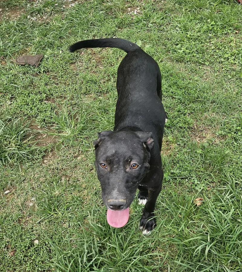 Josie Hanna thumbnail 2